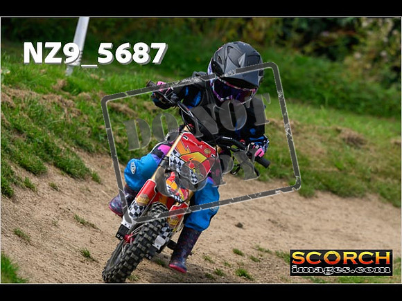 PeeWee Track-068