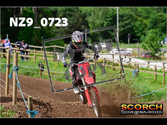 Experts-048