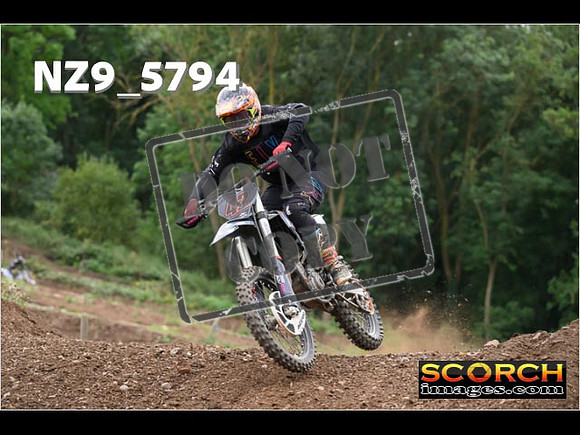 Experts-262