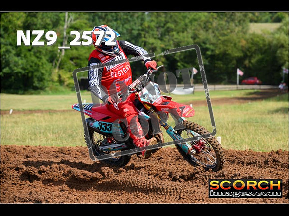 Experts-133