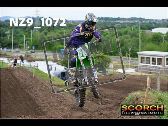 IntersGreen-087