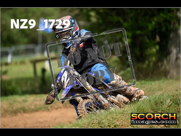 Experts-068