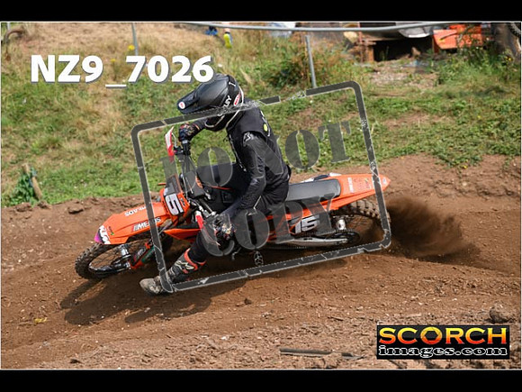 Experts-422