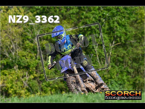 Experts-059