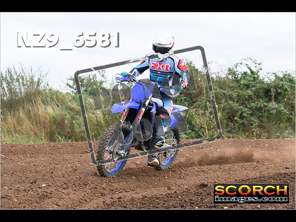 Experts-288