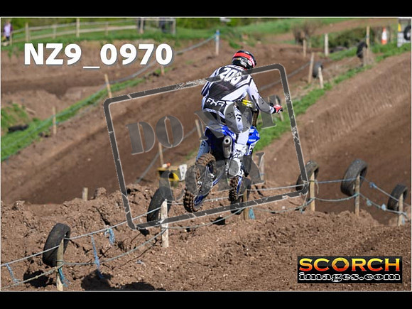 Experts-131
