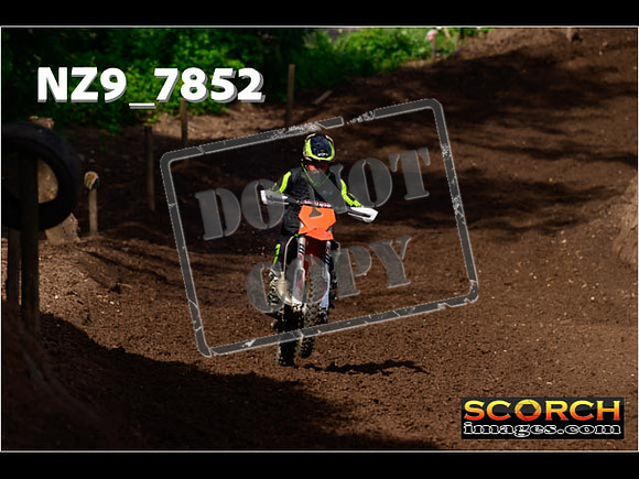 IntersGreenOrange-055