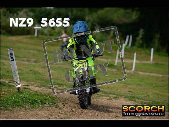 PeeWee Track-036