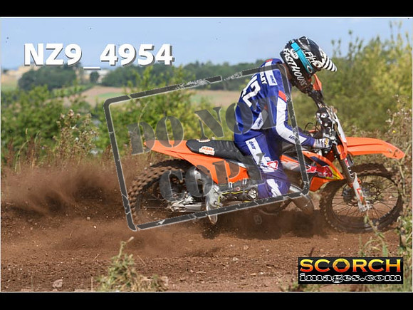 Experts-037