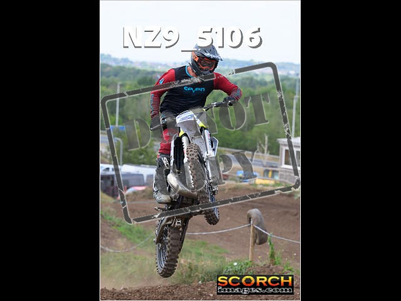 InterGreenOrange-228