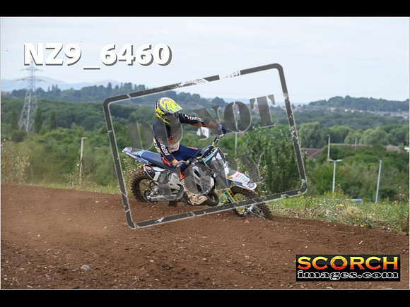 Experts-174