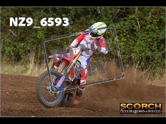 Experts-299