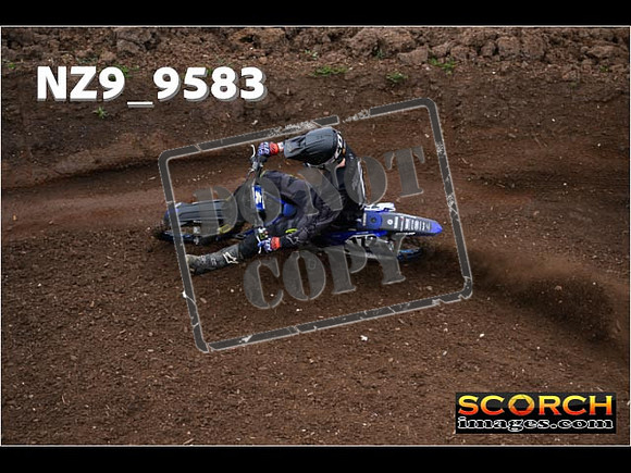 Experts-038