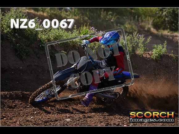 Experts-063