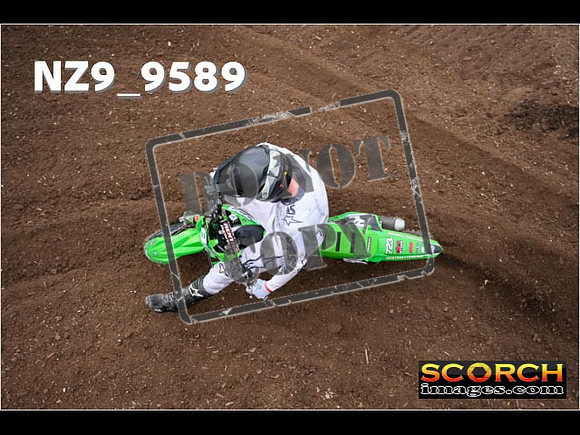 Experts-044