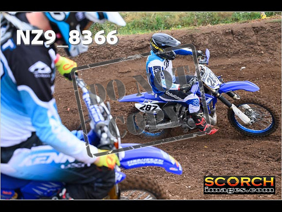 Experts-059