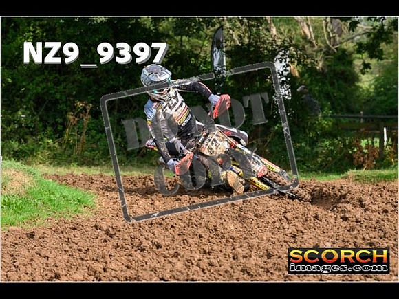 Experts-065