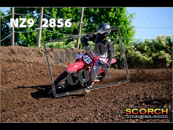 Experts-031