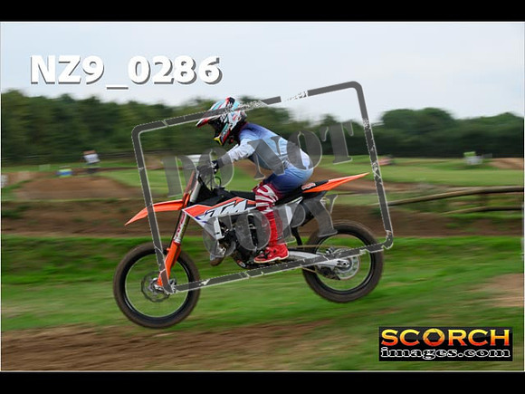 Novice-260