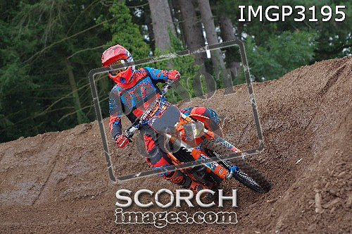 IMGP3195