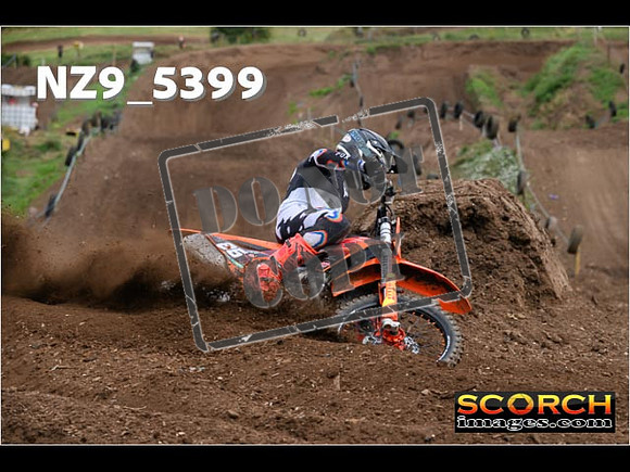 Experts-175