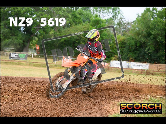 Experts-023