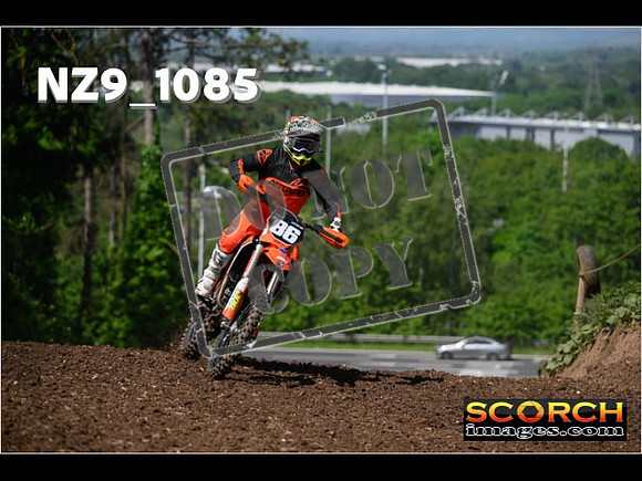 Experts-161