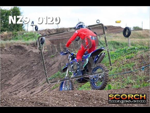 Experts-130