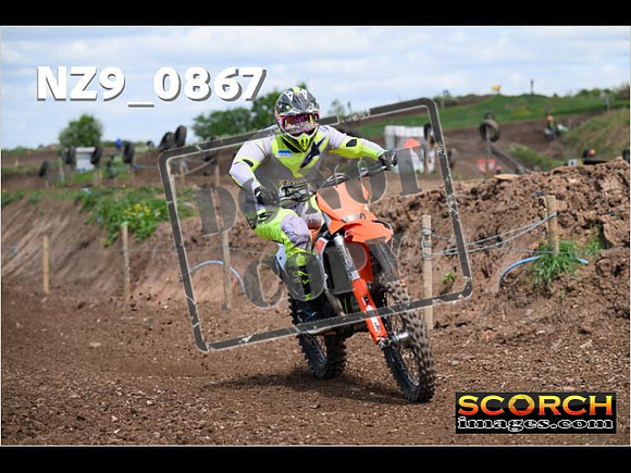 IntersGreen-397