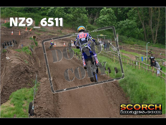 Experts-319