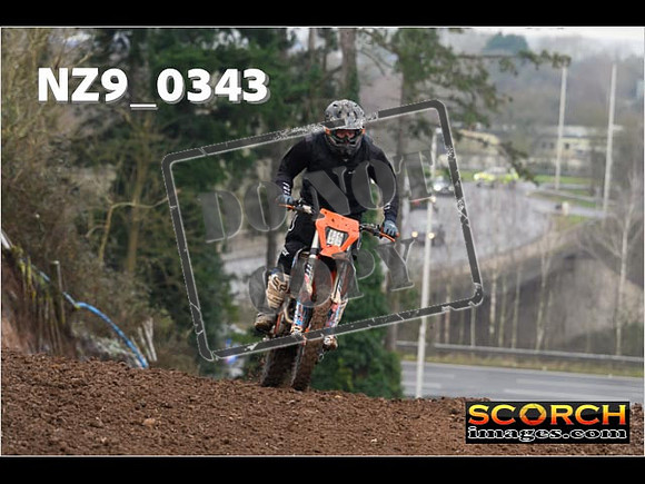 IntersGreenOrange-059