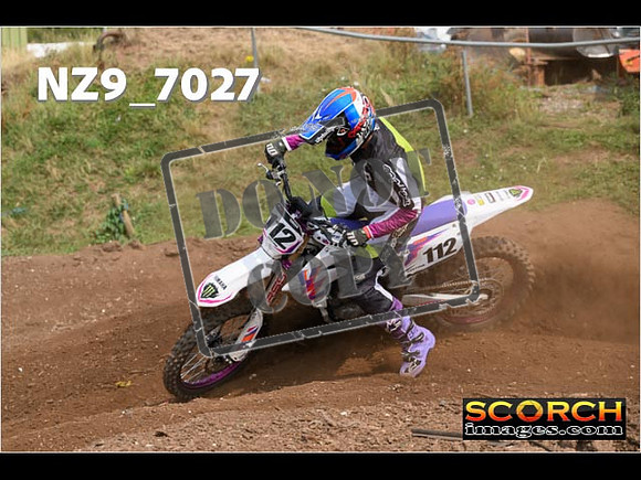 Experts-423