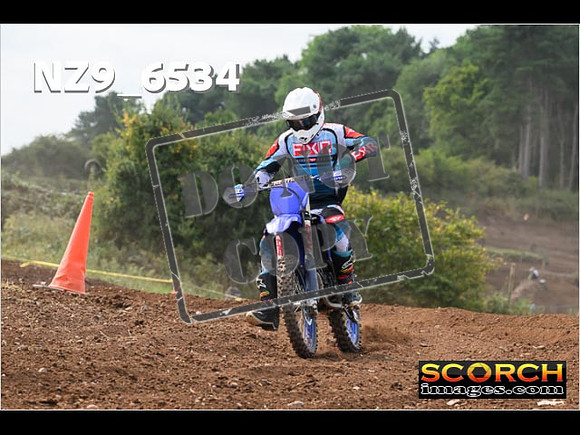 Experts-243