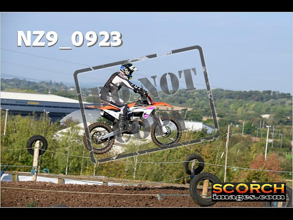 Experts-133