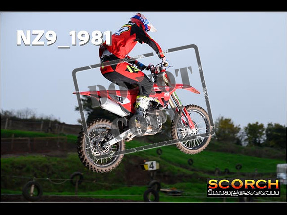 Experts-146