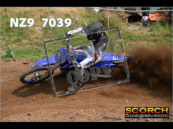 Experts-435