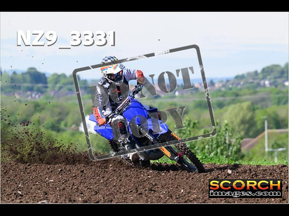 Experts-033