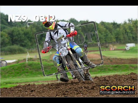 Novice-281