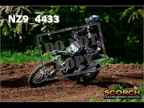 InterGreen-331