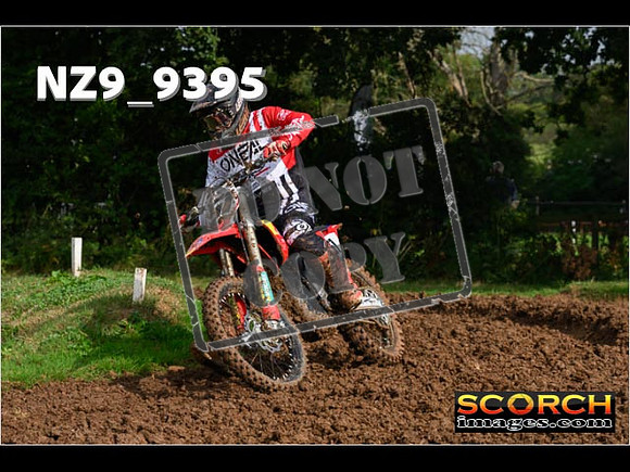 Experts-063