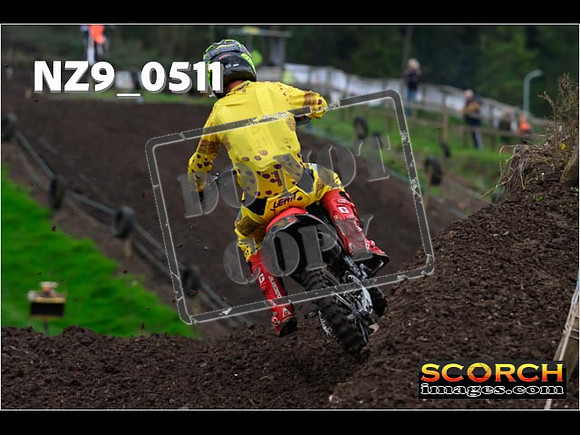 Experts-066