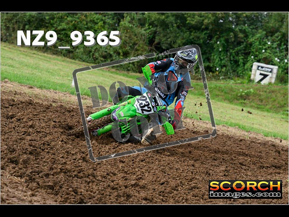Experts-033