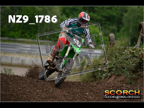 IntersGreenOrange-041