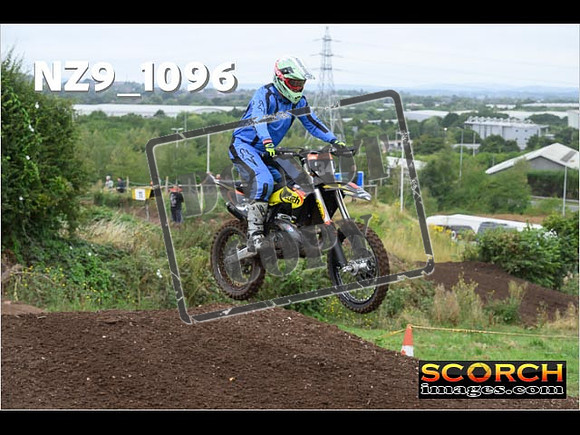 Experts-050