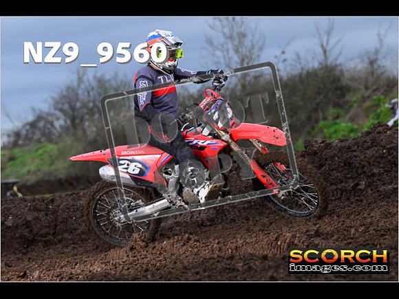 Intermediates-245