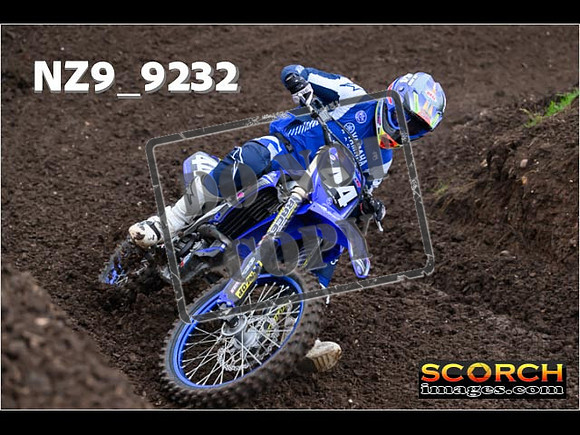 Experts-040