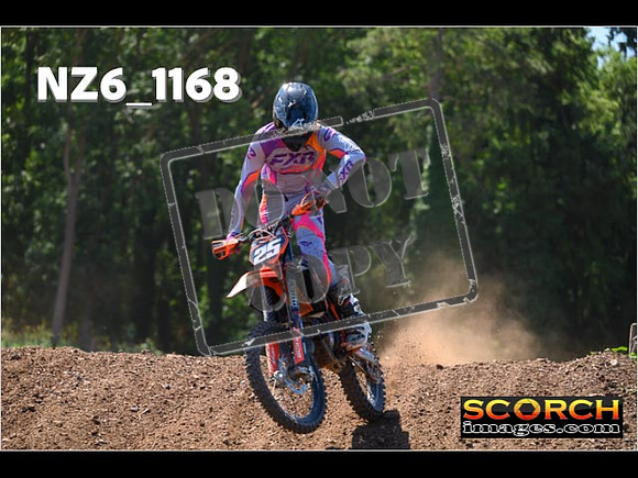 Experts-137