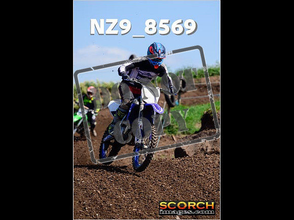 IntersGreenOrange-235