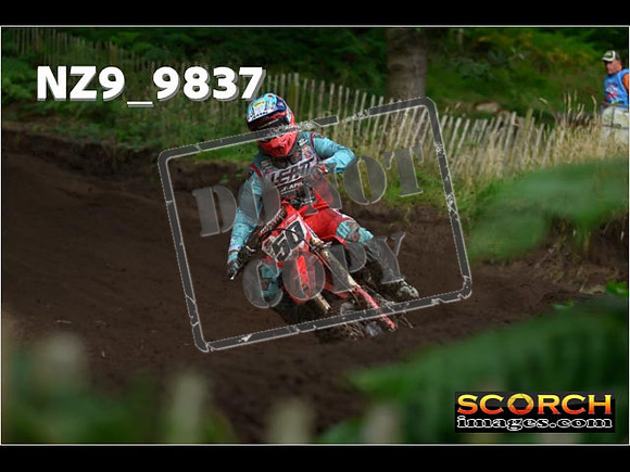 MX1-378