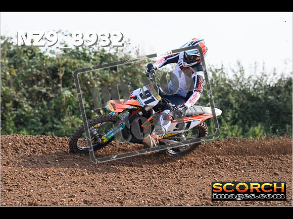 Experts-131